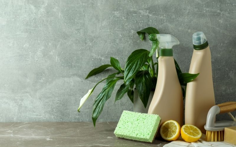 Homemade Natural Cleaning Products