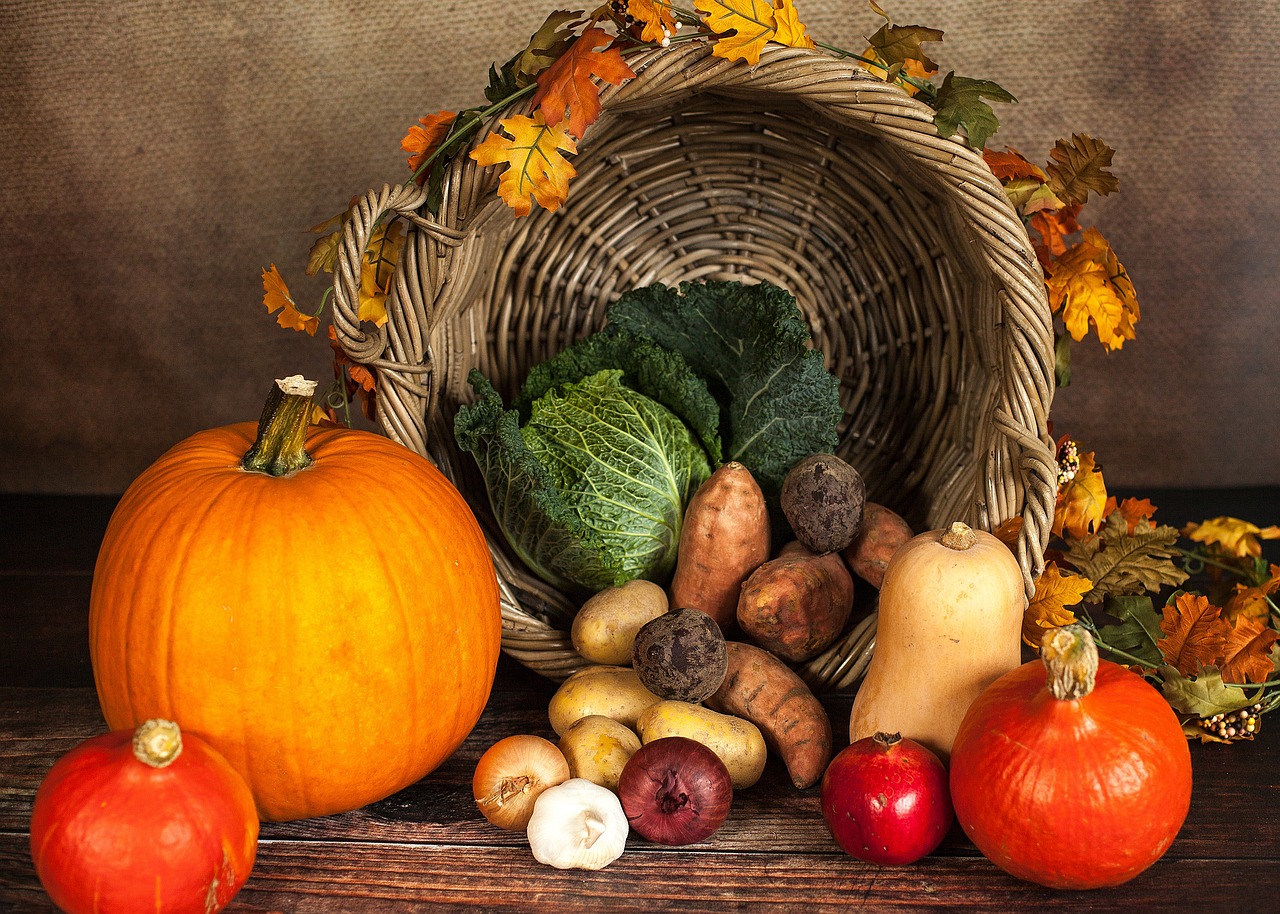 10 Foods to Boost Your Immune System
