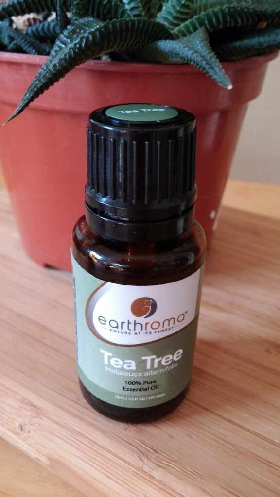 Most Popular Essential Oils For Aromatherapy And Healing