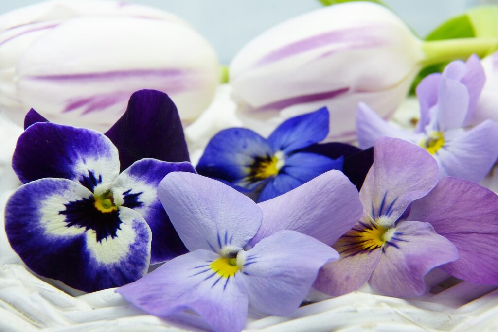 Most Popular Essential Oils For Aromatherapy And Healing