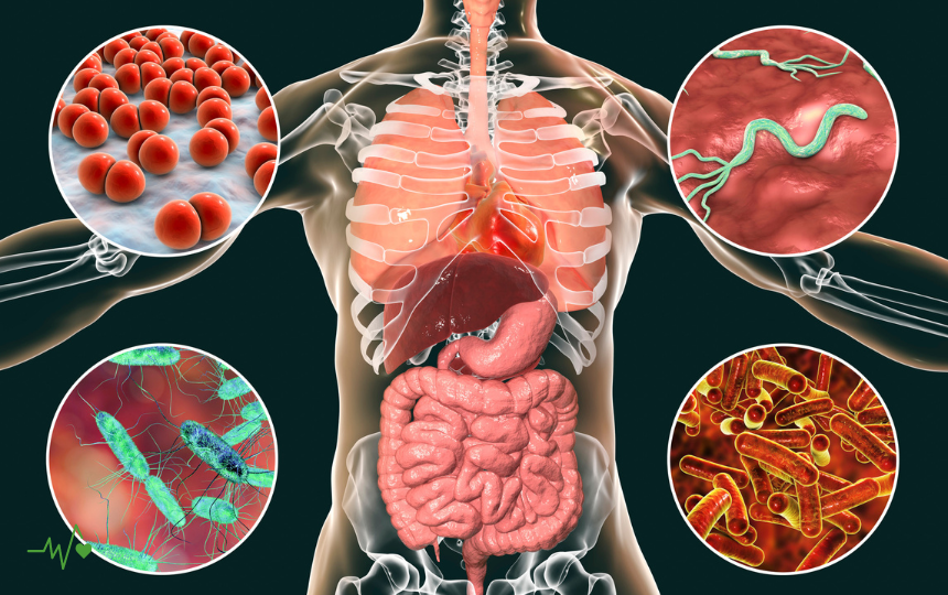 How to Improve Digestion