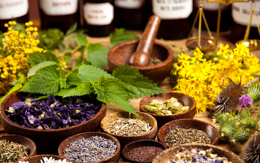 Herbs for Immune Support