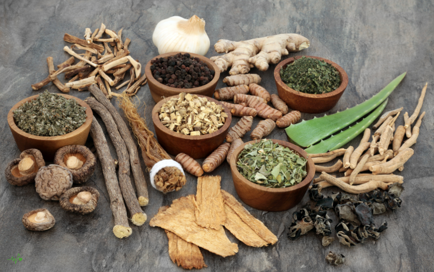 Herbs for Immune Support