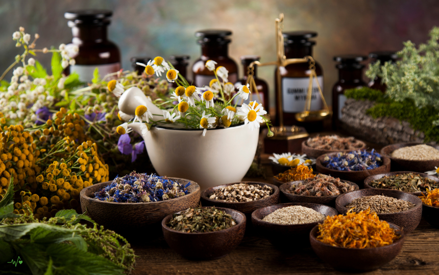 Herbs for Immune Support