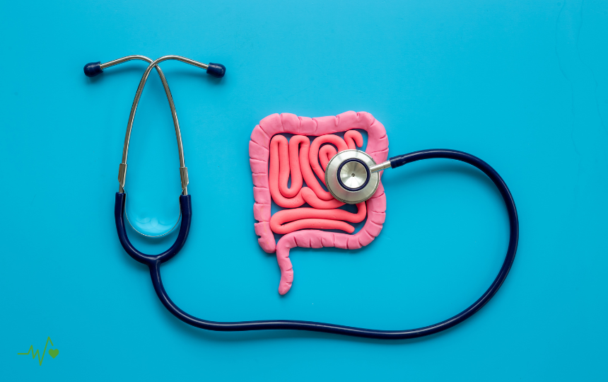 Gut Health Myths Busted