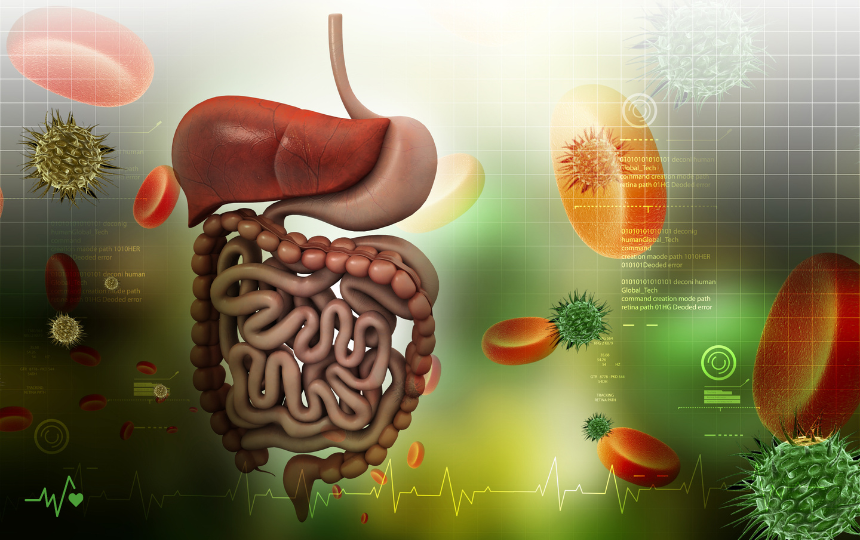 How to Improve Digestion